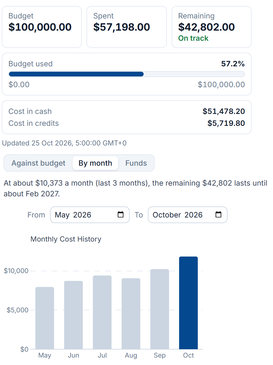 Ora X organization costs: $57,198.00 spent of a $100,000.00 budget, on track, with monthly costs from May to October and the remaining $42,802 lasting until about February 2027 at the current rate